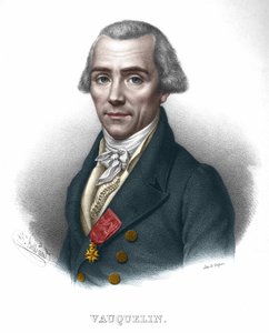 Nicolas Louis Vauquelin, Franse chemicus (1763 - 1829) door Unknown artist
