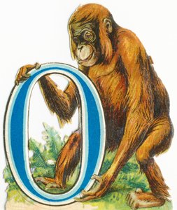 O: Orang-oetan