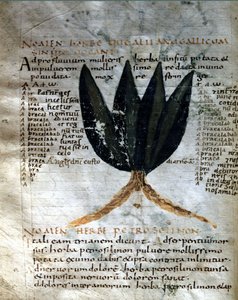 Pagina van het manuscript van Apuleius (Lucius Apuleius) (ca. 125-ca. 180), 