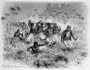Doorgang van de Chisera door Livingstone en zijn dragers - 