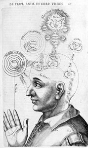 Fysiognomie afbeelding (frenologie) uit Collectio Operum door Robert Fludd. Londen 1617 door Unknown artist