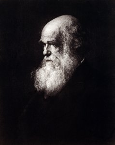Portret van Charles Robert Darwin (1809 - 1882) door Unknown artist