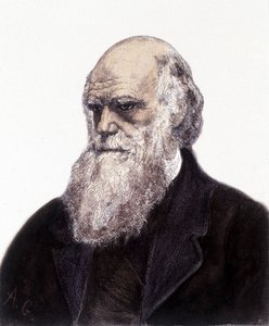 Portret van Charles Robert Darwin, Britse natuuronderzoeker (1809-1882) door Unknown artist