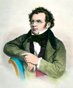 Portret van Franz Schubert (1797-1828), Oostenrijkse componist. Gravure uit de 19e eeuw. Privécollectie