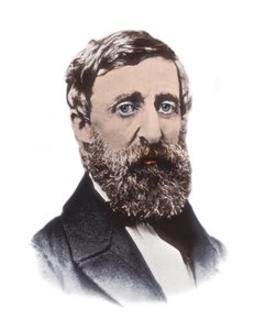 Portret van Henry David Thoreau (1817-1862) - Amerikaanse essayist, dichter, filosoof, abolitionist, natuuronderzoeker, belastingweigeraar, ontwikkelingscriticus, landmeter en historicus