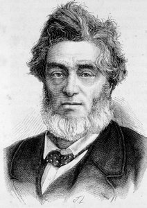 Portret van Jules Favre (1809 -1880), Franse politicus door Unknown artist