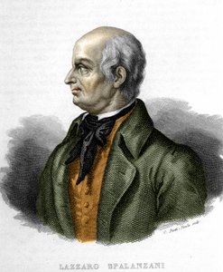 Portret van Lazzaro Spalanzani, Italiaanse bioloog (1729 - 1799) door Unknown artist