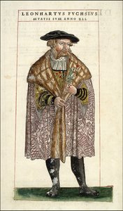 Portret van Leonhart Fuchs: Botanicus - Duitse arts (1501 - 1566) - in “De Historia Stirpium commentarii badges,...” door Leonhart Fuchs door Unknown artist