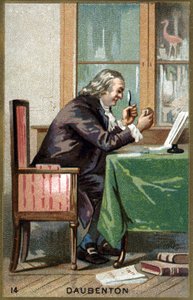 Portret van Louis Jean Marie Daubenton, genaamd Daubenton (1716 - 1800), Franse natuuronderzoeker door Unknown artist