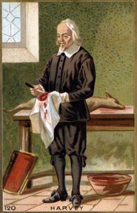 Portret van William Harvey (1578 - 1657), Engelse arts door Unknown artist