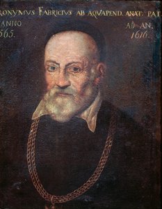 Portret van pionierende anatoom en chirurg Hieronymus Fabricius door Unknown artist