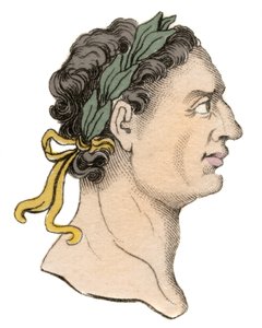 Portret van de Romeinse keizer Domitianus (Titus Flavius Domitianus) (51-96 AD)