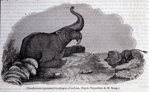 Prehistorie: voorstelling van een Dinotherium, een soort pachyderm, die een leeuwaanval afweert. Gravure uit de 19e eeuw door Unknown artist