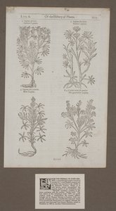 Gedrukte pagina 1217 uit 