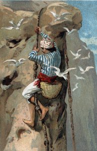 Verzameling van salanganzwaluwennesten in Maleisië. Chromolithografie uit de late 19e eeuw. door Unknown artist
