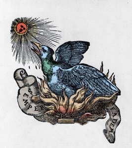 Voorstelling van een Feniks (of phoenix), legendarische vogel, herboren uit zijn as. Gravure van de 19e eeuw