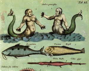 Weergave van een sirene en een triton, een fantastische mariene creatuur beschreven in een atlas van de zoölogie. Detail. 17e eeuw