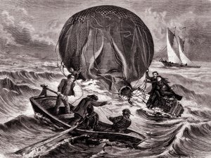 Redding van de Habs-bal, gemonteerd door de heer en mevrouw Durouf. Schipbreuk geleden aan de kust van Engeland op 1 september