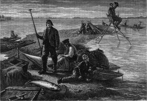 Terugkeer van de zalmvisserij aan de oevers van de Rijn. Gravure in het tijdschrift 