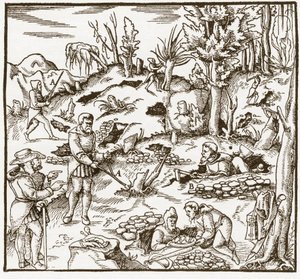 Rhabdomantie - Verkenning van een mijnveld met behulp van de wichelroede - Mannen snijden en gebruiken wichelroedes om mineralen te lokaliseren - Uit De re metallica door Georgius Agricola (Georg Bauer), Basel