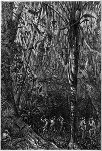 Wegontwikkeling in Midden-Amerika: Het boren van de Nicaraguaanse weg door een maagdelijk bos (ontbossing). Tekening van luitenant Olivier, lid van de expeditie van kapitein Bedford Pim. Gravure in 