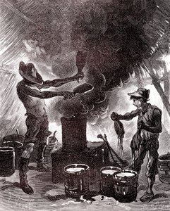 Rubberbereiding of vulkanisatie in het Braziliaanse bos