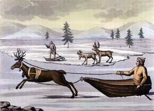 Sami-volk: inheemse mensen die in de landen van de noordelijke landen (Noorwegen, Finland, Zweden en Rusland) wonen, verplaatsen zich per rendierslee of op ski
