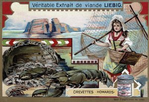 Garnalen en kreeft, met een jonge visvrouw, die haar mand en een groot net draagt - Liebig chromolithografie