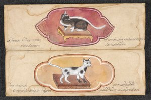 Siamese katten door Unknown artist