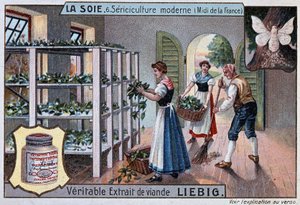 Zijde: zijdefabriek in het zuiden van Frankrijk, Liebig reclame, ca. 1895 door Unknown artist