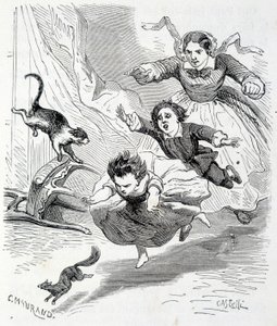 Sophie en de eekhoorn - in 