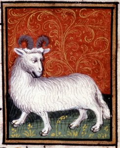 De Ram. Miniatuur van een horoscoop. 15e eeuws manuscript. Bibl. Trivulziana, Milaan. door Unknown artist