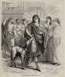 De Hond van Alcibiades - De hond van Alcibiades staatsman en redenaar en generaal Atheens, 450-404 v.Chr. gravure uit 1864 door Unknown artist