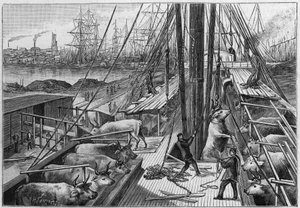 De Engelse stoomboot 