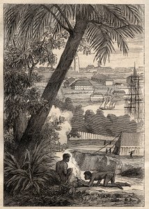 De Expeditie naar de Zuidelijke Landen (1800-1803) door Nicolas Baudin (1754-1803): Uitzicht op Sydney (Australië) - illustratie uit 
