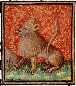 De Leeuw. Miniatuur van een horoscoop. 15e-eeuws manuscript. Bibl. Trivulziana, Milaan.