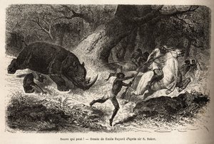 De aanval van de neushoorn die de jagers omverwerpt en in de val lokt, tijdens de zoektocht naar de auteur en zijn gidsen. Gravure ter illustratie van de verkenning van de Abessijnse zijrivieren van de Nijl, door Sir Samuel W.Baker, in 1861-62, gepubliceer door Unknown artist