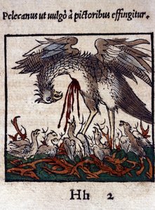 De legende van de pelikaan: hij geeft zijn bloed en ingewanden om zijn jongen te voeden. Uit Historiae animalium door Konrad Gesner, Tiguri door Unknown artist