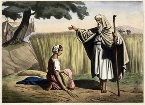 De ontmoeting van Ruth en Boaz, grootouders van de koning van Israël David (1000-972 v.Chr.). Anonieme gravure uit het midden van de 19e eeuw. door Unknown artist