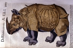 De neushoorn na 