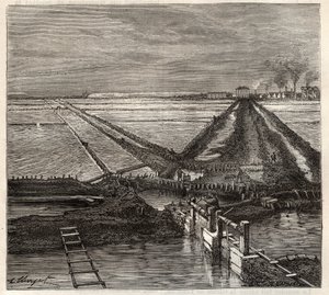 Het zoutmoeras van Giraud in de Camargue (Bouches-du-Rhône), gezien vanaf het dienstkanaal - gravure in 