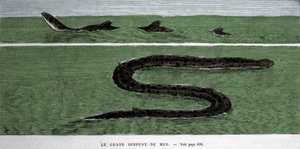 De zeeslang waargenomen in 1872 in de Meridionale Atlantische Oceaan