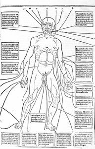 Deze afbeelding toont de plaatsen van het lichaam of het oefenen van aderlating afhankelijk van de pijn. Verhandeling over Geneeskunde door Gerolamo Cardano (Cardanus Hieronymus), Florence