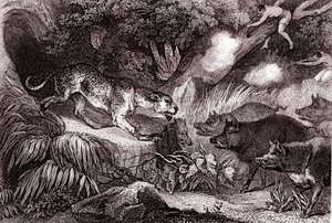Tijgerjacht in het Amazonewoud (gravure)