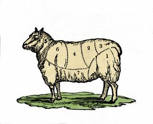 Verschillende stukken schapenvlees. Illustratie uit het einde van de 19e eeuw door Unknown artist