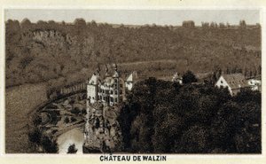 Uitzicht op het kasteel van Walzin in Wallonië (België) aan de oevers van de rivier de Lesse