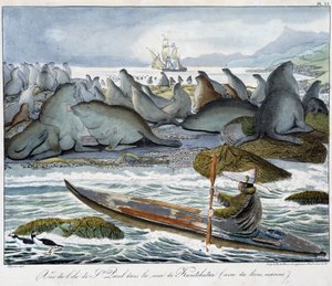 Uitzicht op het eiland St. Paul in de zee van Kamtsjatka met zeeleeuwen door Unknown artist
