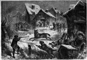 Wolvenjacht in het dorp Saliers, Bouches-du-Rhône, 31 december 1860. Gravure in 
