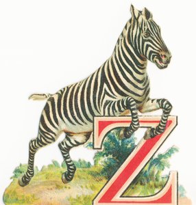 Z: Zebra door Unknown artist