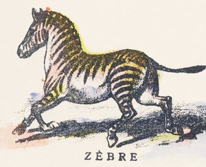 Z: zebra door Unknown artist